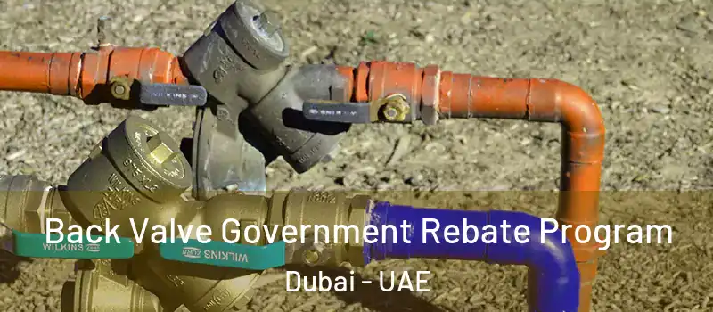  Back Valve Government Rebate Program Dubai - UAE