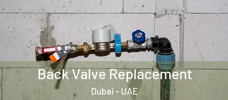  Back Valve Replacement Dubai - UAE