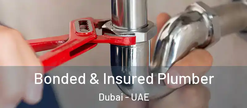  Bonded & Insured Plumber Dubai - UAE