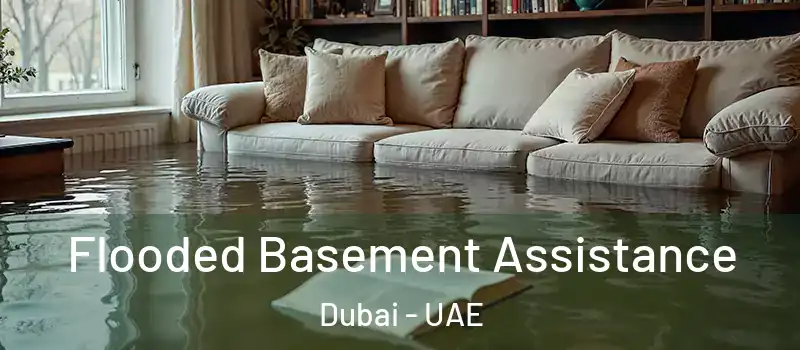  Flooded Basement Assistance Dubai - UAE
