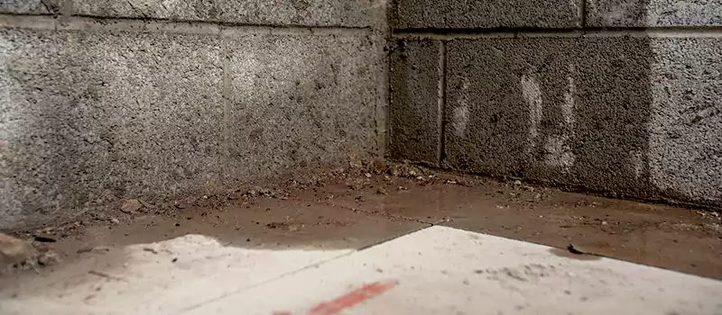 Damage Foundation Leak Repair Services in Dubai, UAE