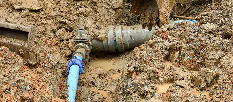 Commercial Sewer Tree Roots Damage Solutions in Dubai, UAE