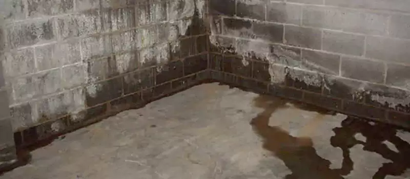 Foundation Sill Plate Leaks Repair Services in Dubai, UAE