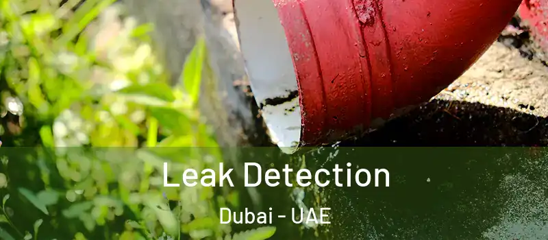  Leak Detection Dubai - UAE