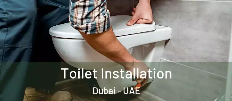  Toilet Installation Dubai - UAE