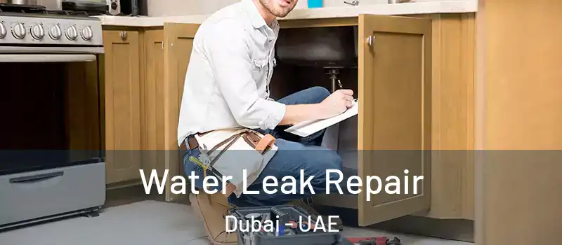  Water Leak Repair Dubai - UAE