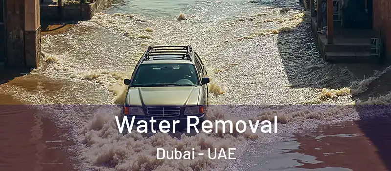  Water Removal Dubai - UAE